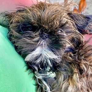 Meet your Posher, Annelise